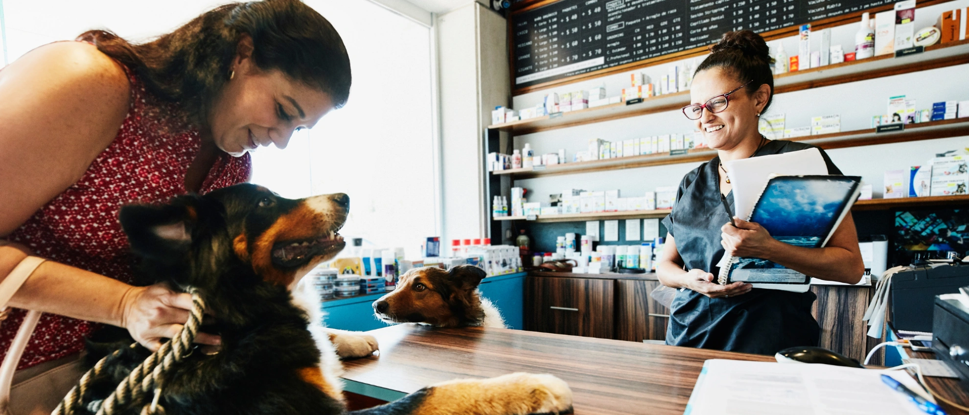Verkäuferin berät Kundin mit Hund an der Ladentheke in einem Tiergeschäft