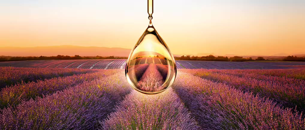 L’Occitane en Provence