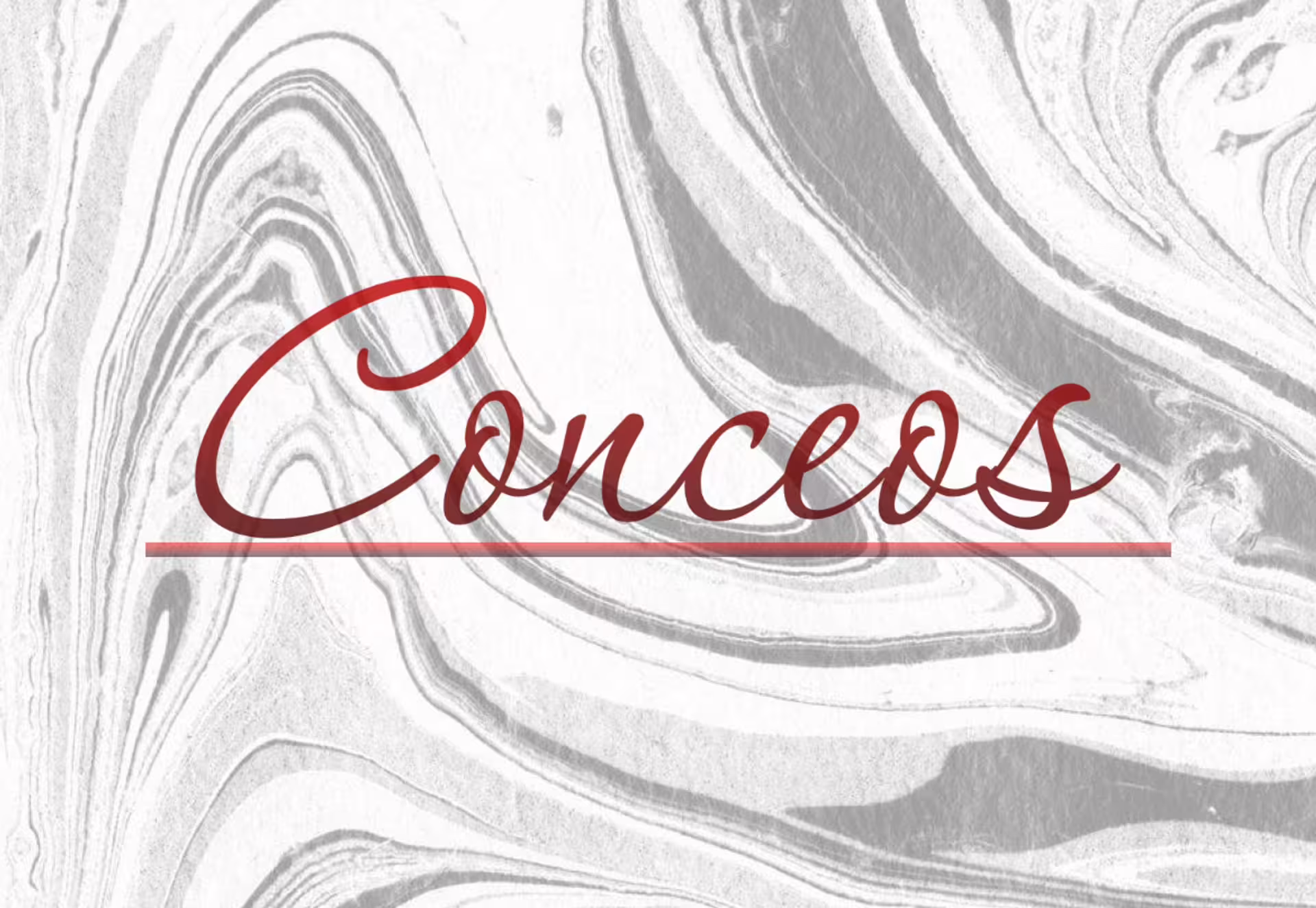 Conceos – Consulting & Invest