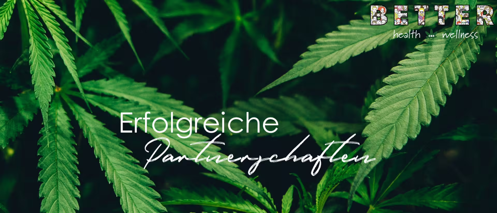 BETTER - Health & Wellness (Mister Cannabis)