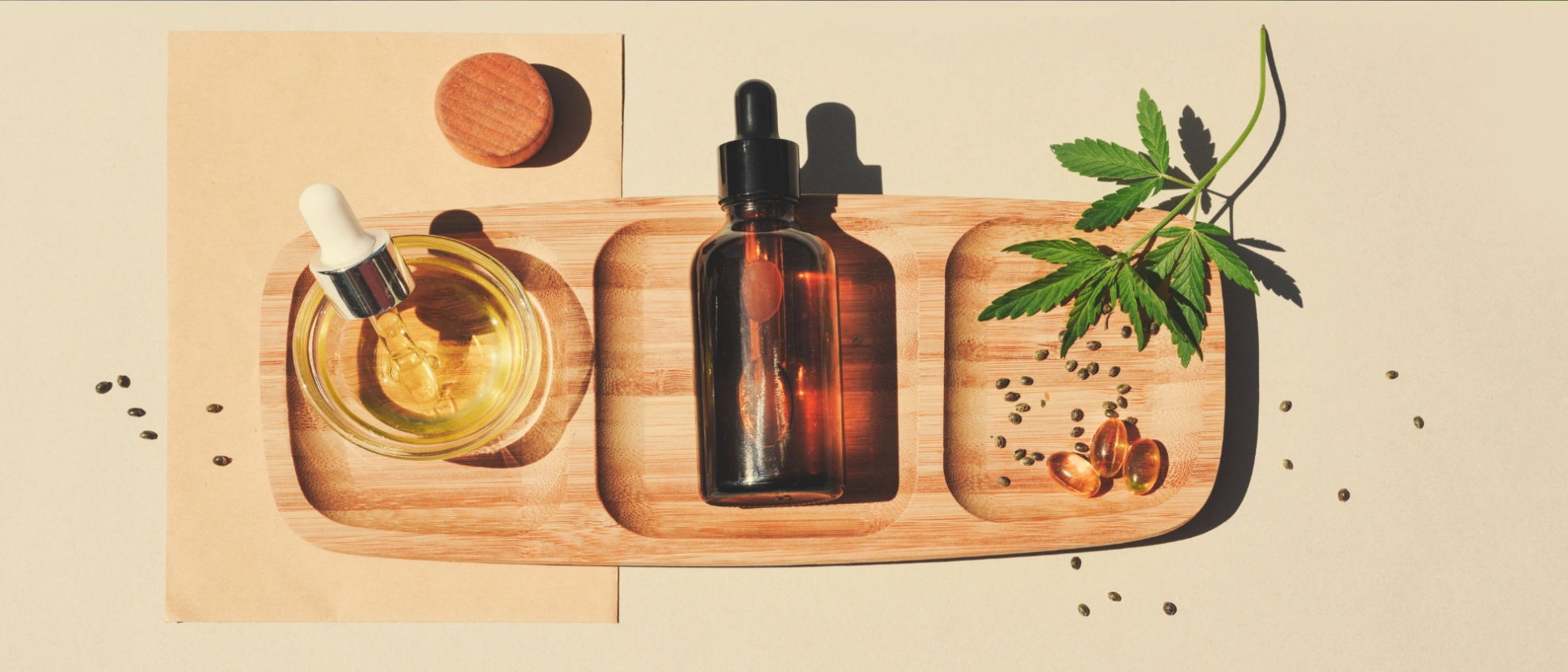 Cannabis Shop eröffnen: Gründung made easy – dein Guide zum Erfolg