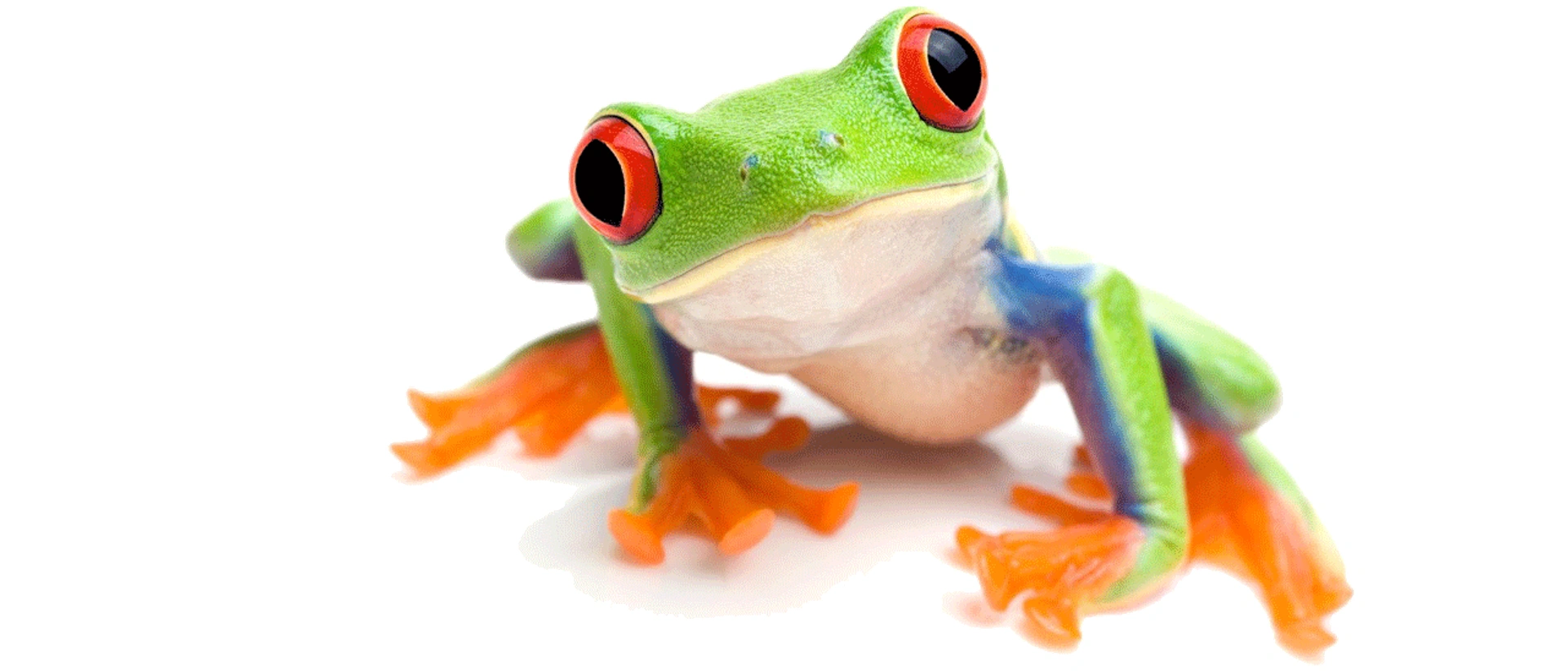 Brian Tracy Solutions