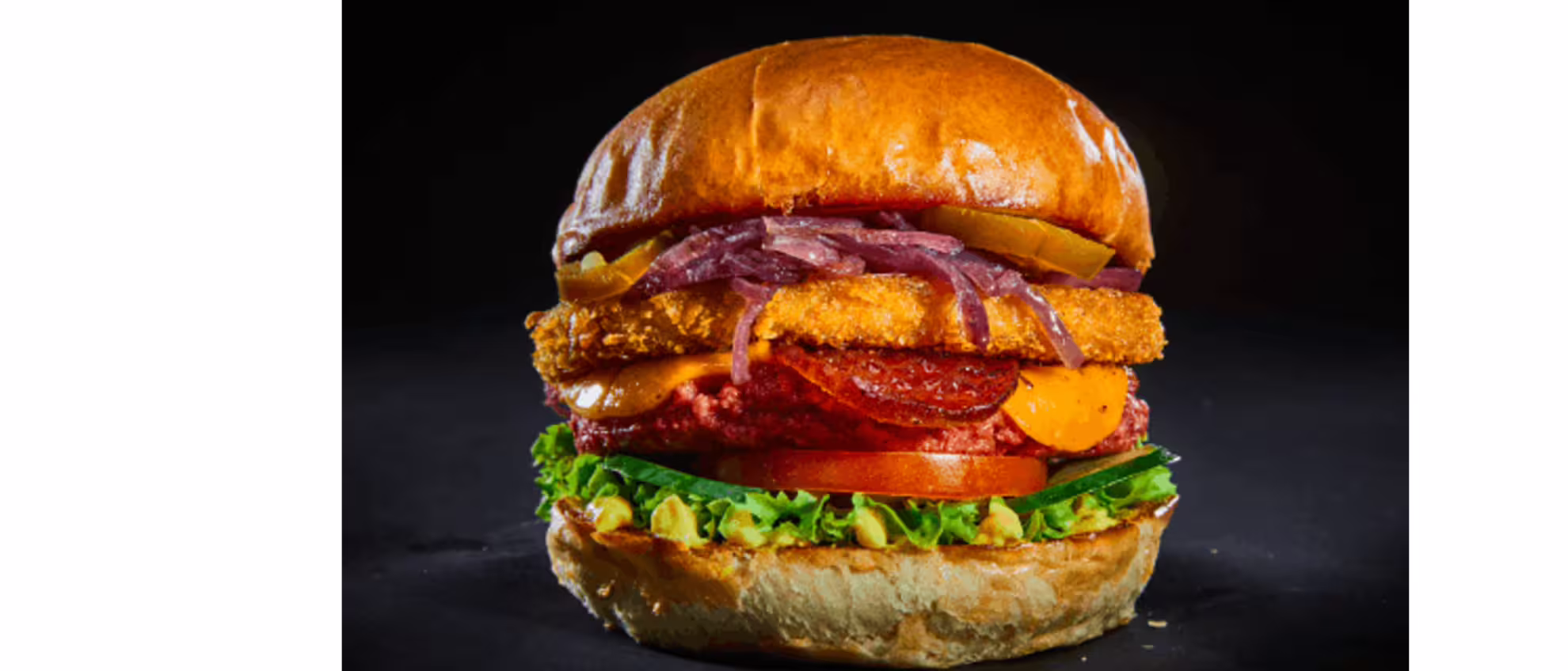 Vincent Vegan Lovefood