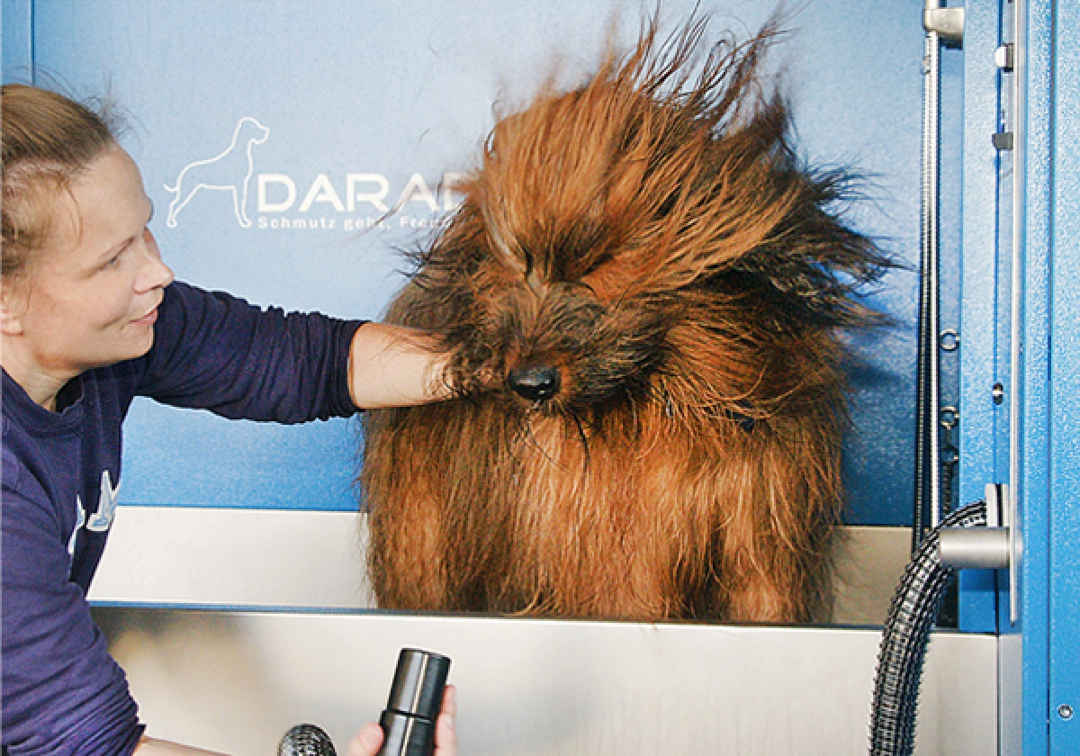 DARADO Lizenzsystem f. SB Hunde Wasch Center. Hundesalon…
